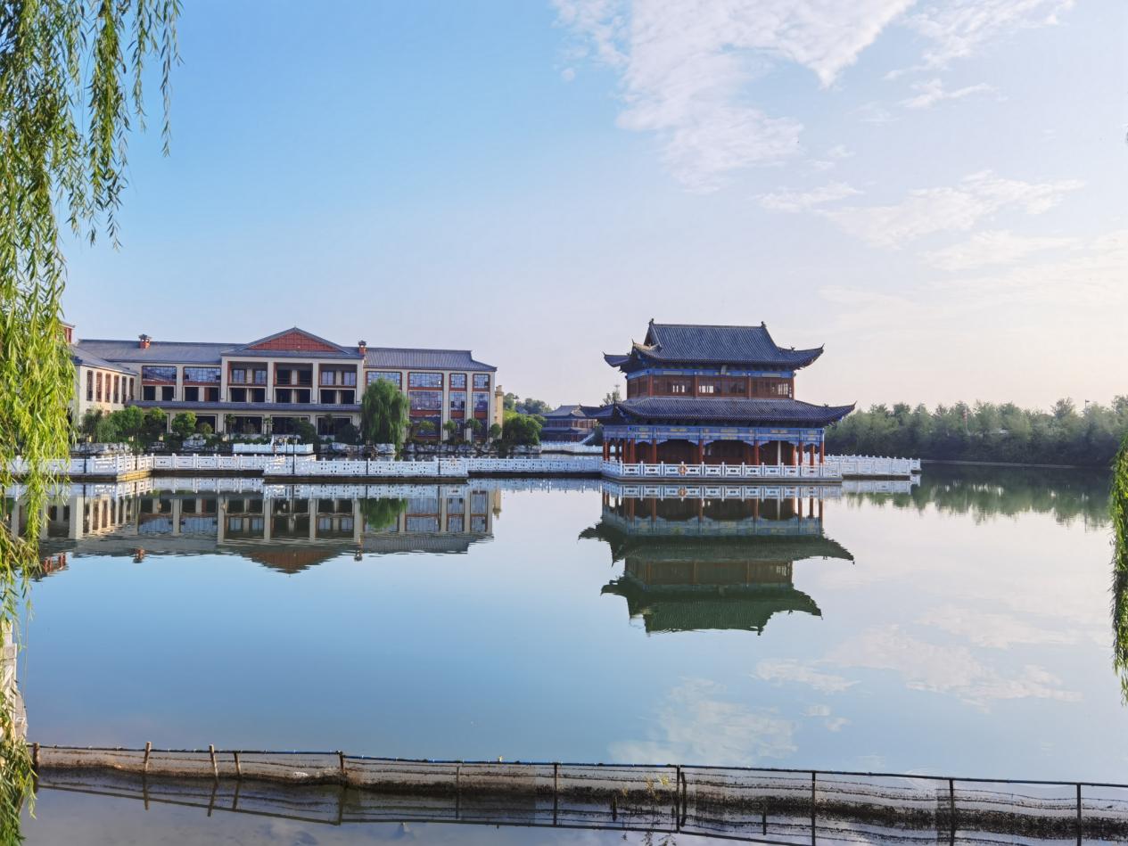 IMG_256